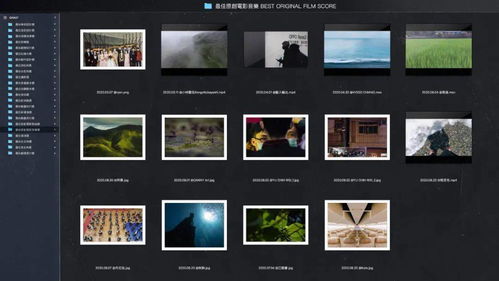 金馬獎入圍影片設計 從動態圖形到影視策劃的蛻變