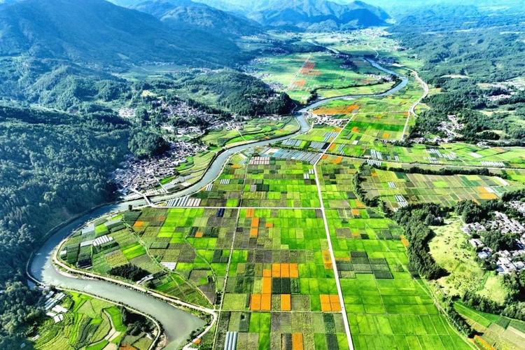 解碼生態(tài)振興密碼 繪就綠色發(fā)展新圖景